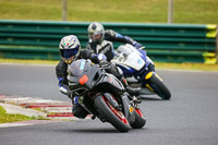 Lower Group Black Bikes